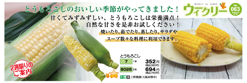 春自慢 春どり青首総太大根(販売終了) | 花＆グリーン 通販
